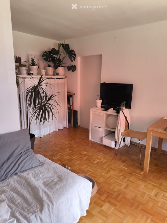 Appartement 2 pièces + réduit 3