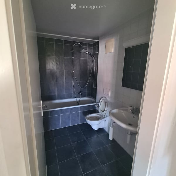 Appartement a louer centre ville de Bulle 3