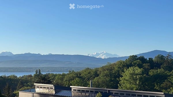 3.5 pièces nyon calme 1