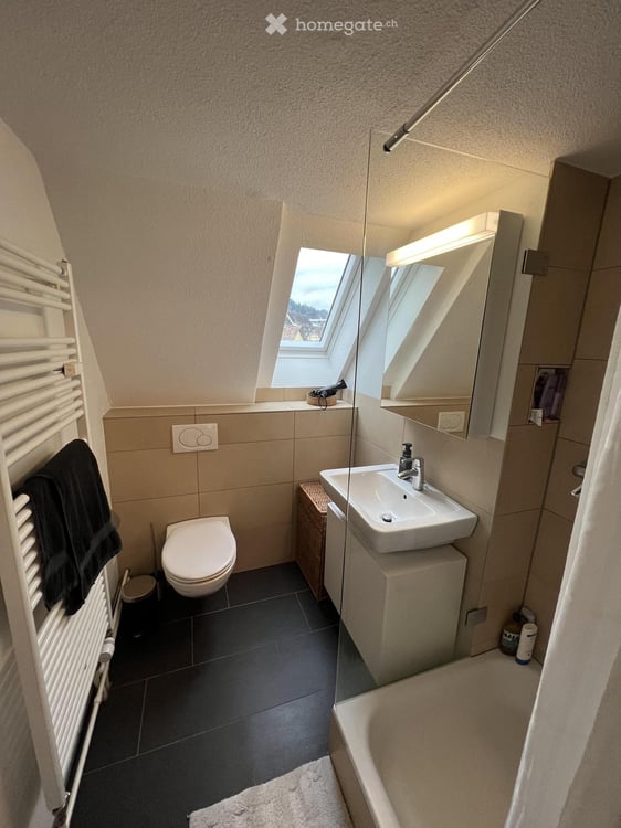 Charmante, renovierte 2,5-Zimmer-Wohnung in Schaffhausen 3