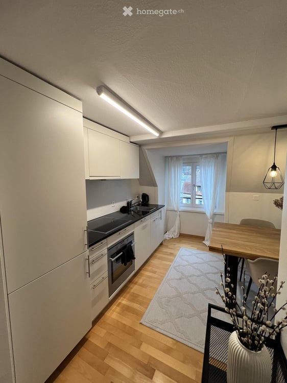 Charmante, renovierte 2,5-Zimmer-Wohnung in Schaffhausen 4