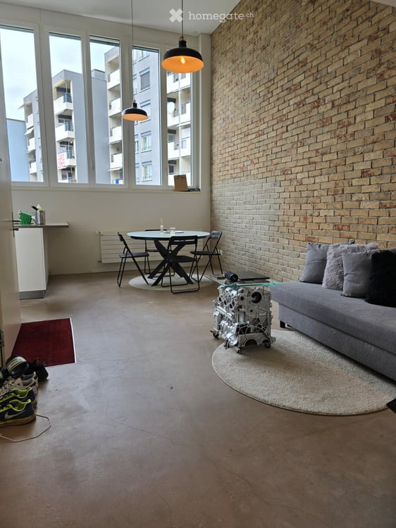Magnifique loft / quartier Malley 2