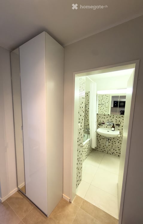 Frisch renoviertes 1.5-Zi Studio mit grosser Terrasse& Sauna 3