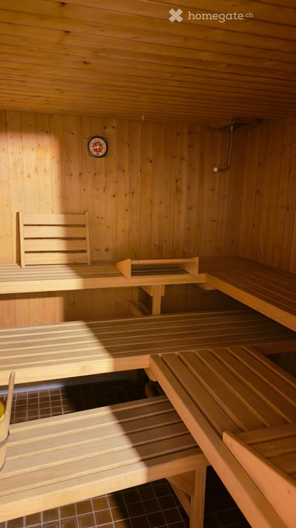 Frisch renoviertes 1.5-Zi Studio mit grosser Terrasse& Sauna 5