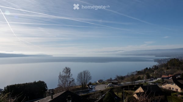 Chalet avec Vue Panoramique sur le Léman 2