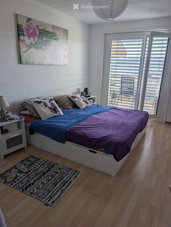 Grand appartement luminieux et calme 2