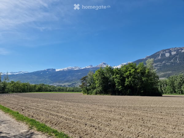 3p 1/2 à louer sur un Domaine 1