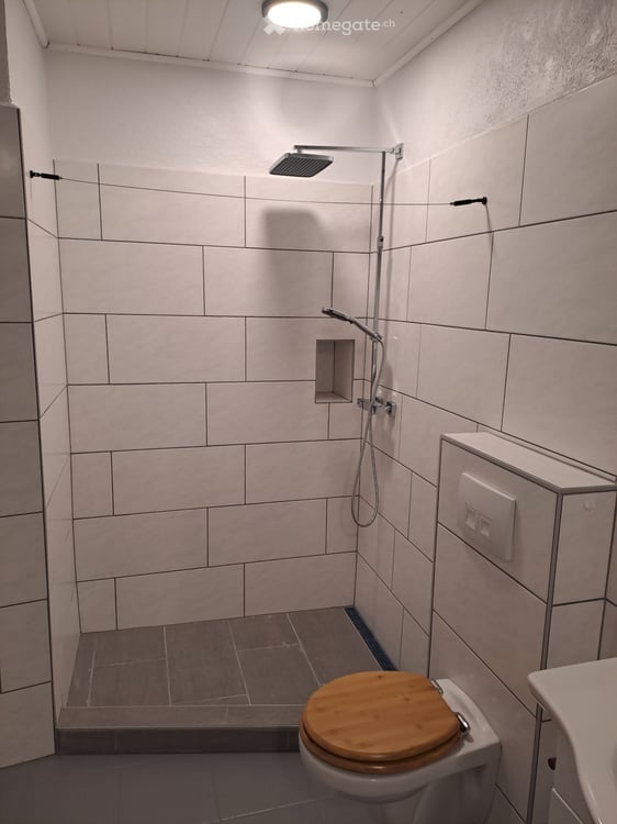 Appartement de 2 pièces au rez-de-chaussée au Noirmont 2