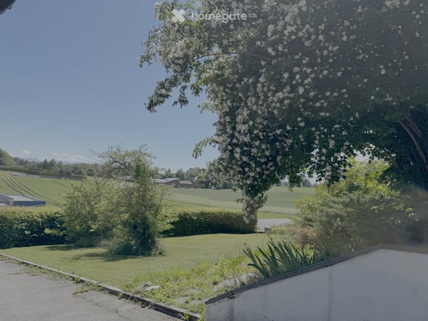 Maison individuelle avec jardin privatif - 2600/mois 13