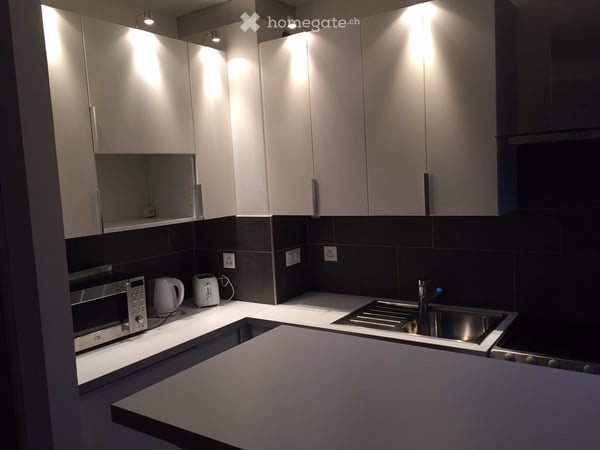 1.5 pièces meublé de 39m2 - Quartier