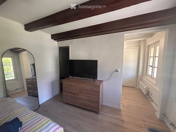 Studio lumineux rénové de 19 m² Disponible immédiatement 1