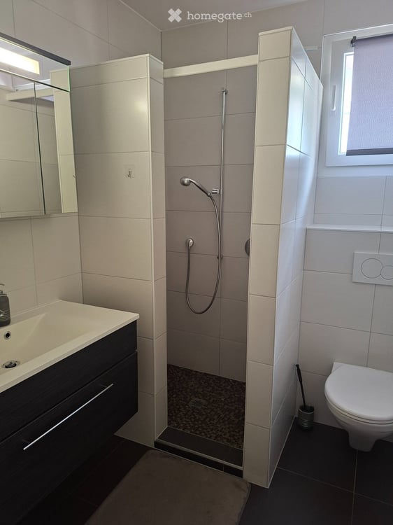 Appartement 4,5 pièces au rez avec un jardin privatif 5