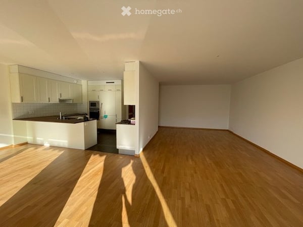 Carouge A VENDRE magnifique appartement 4p + box une place 1