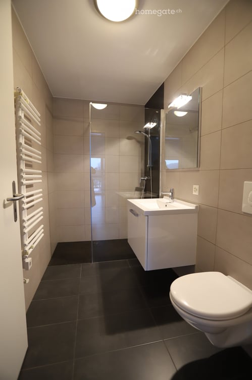 Grand appartement lumineux de 2 pièces 3