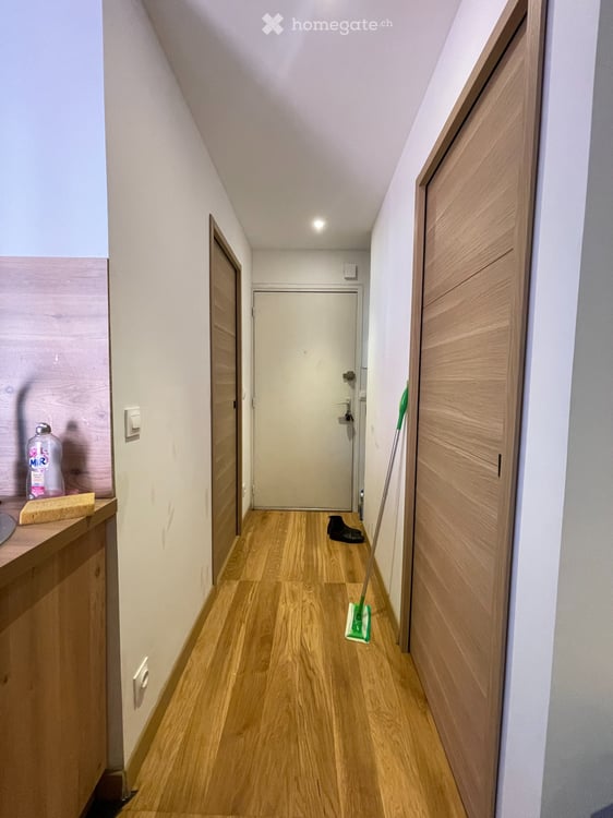 MONT-BLANC REGION Fully Renovated ApartmentSallanches 4