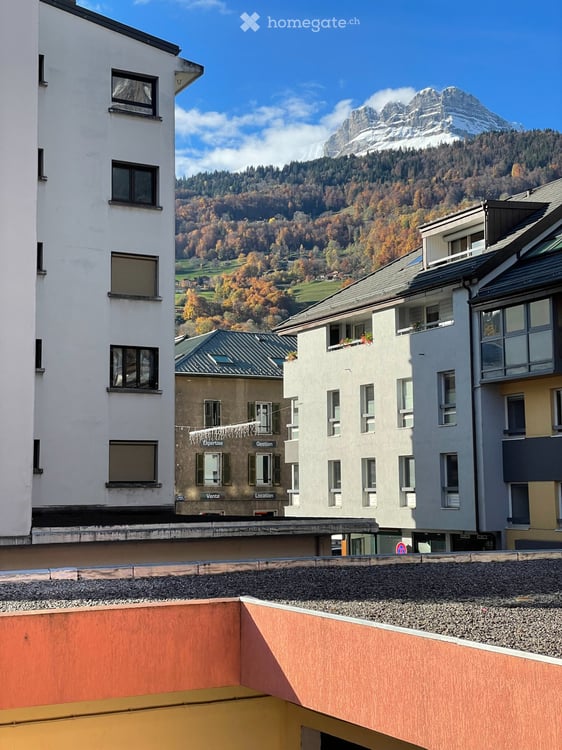 MONT-BLANC REGION Fully Renovated ApartmentSallanches 2