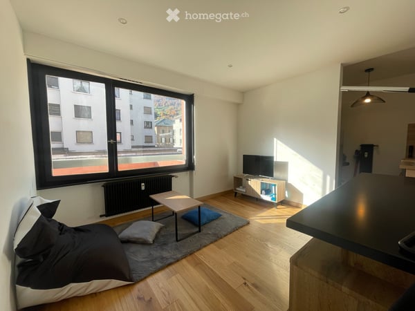 MONT-BLANC REGION Fully Renovated ApartmentSallanches 1