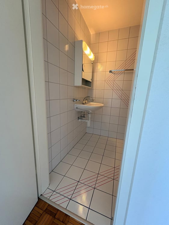 Magnifique appartement de 1.5 pcs 5