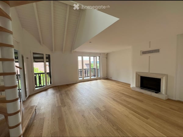 duplex 6 pieces de 180m2 dans la campagne genevoise 1