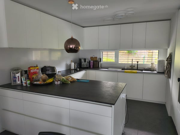 Maison moderne entièrement meublée près du lac 4