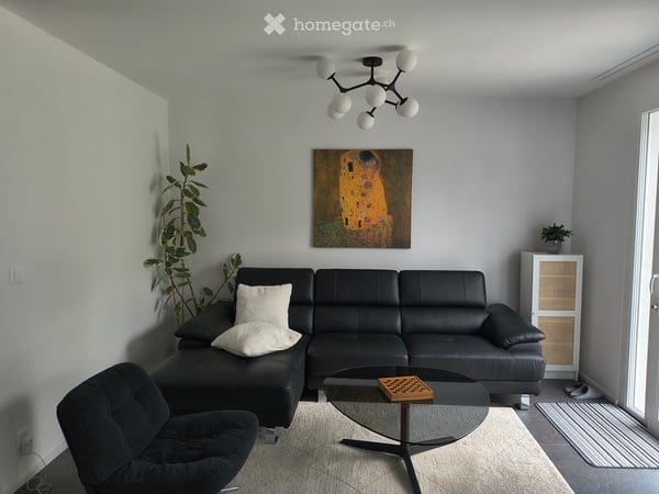 Maison moderne entièrement meublée près du lac 3