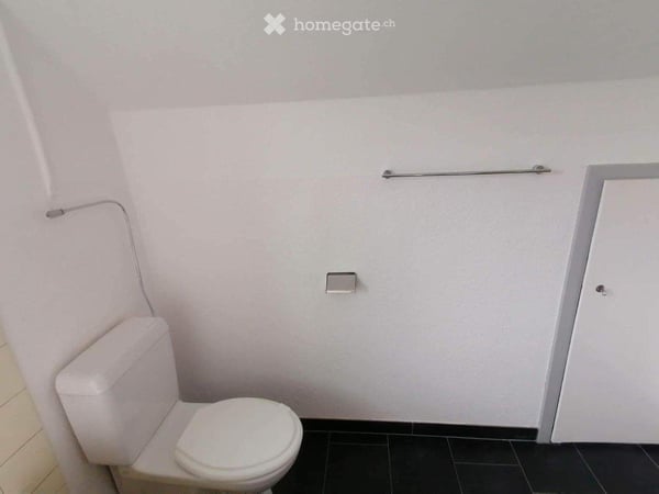 Charmante 2-Zimmer-Wohnung in Winterthur 3