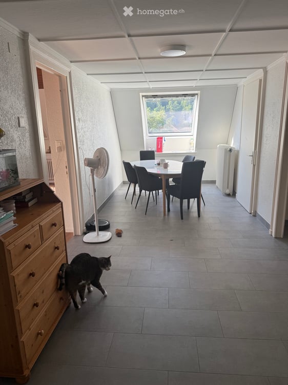 Apparement 4,5 pces spacieux et moderne 2