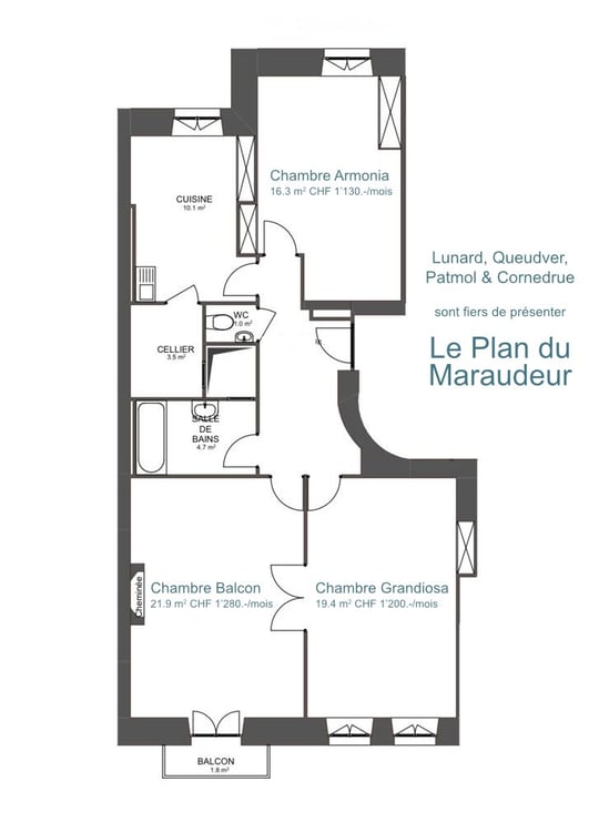 Grande chambre en colocation en centre ville 5