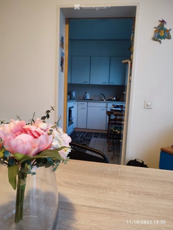 Rent to buy appartamento di 3.5 locali con posteggio 3