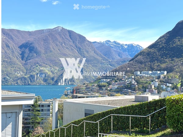 LUGANO: APPARTAMENTO TOTALMENTE RINNOVATO 1