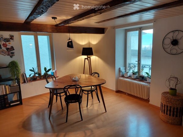 Charmant appartement vieille ville avec vue sur lac 3