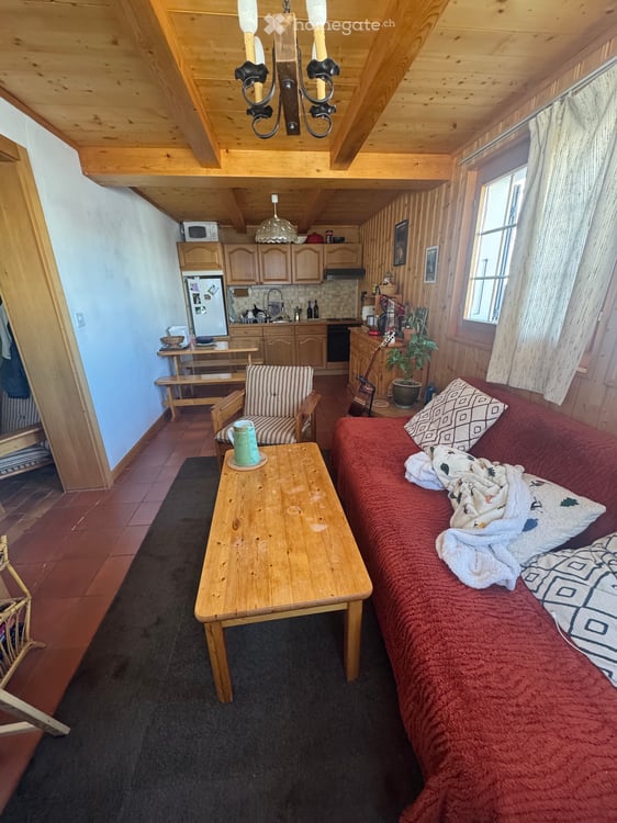 Appartement avec jardin, Les Crosets ski in/out 1000.-/mois 2