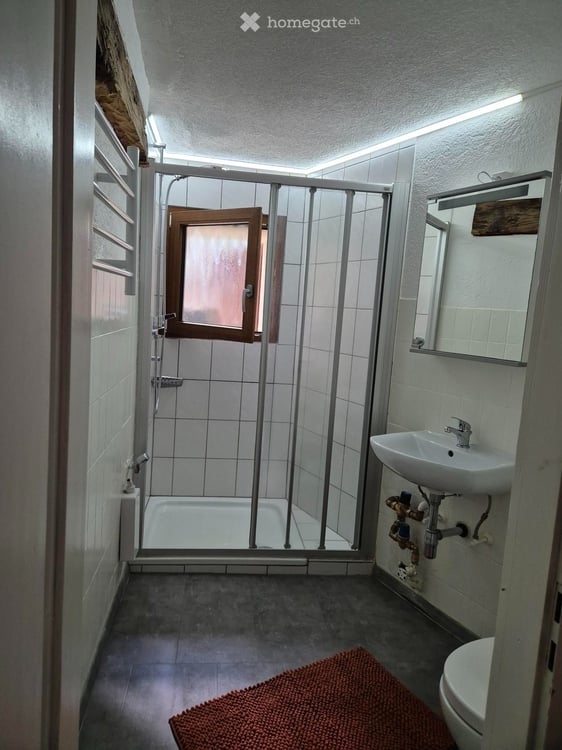 Petit appartement à Evolène 3
