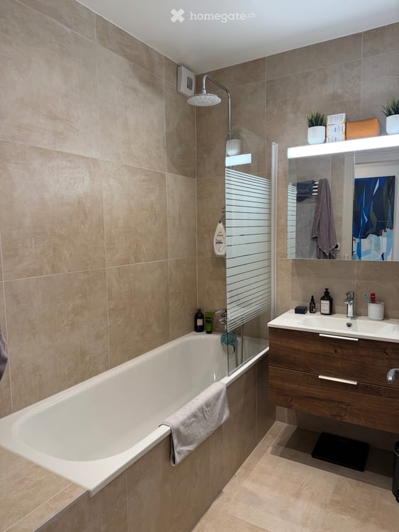 Appartement 3 pièces Eaux Vives à sous-louer 3