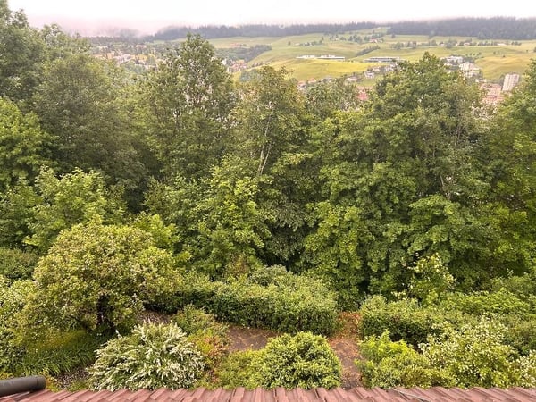 Appartement de 2 pièces au Locle &  terrain extérieur 5