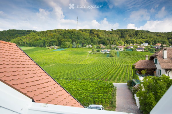 APPARTEMENT À LOUER  Bursins (Vaud, Suisse) 5