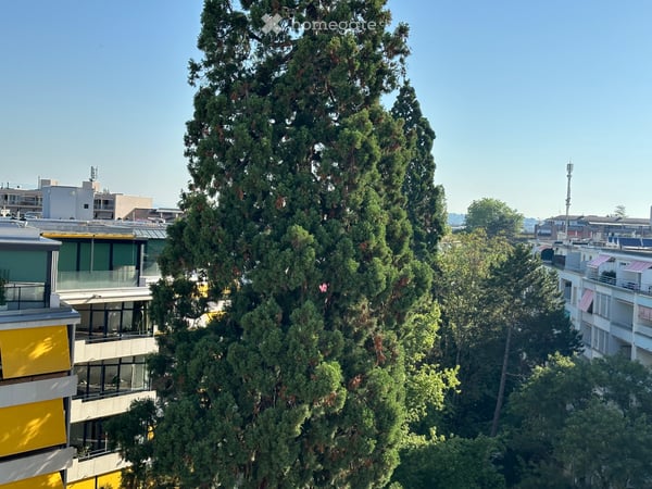 Très bel appartement à Champel 13