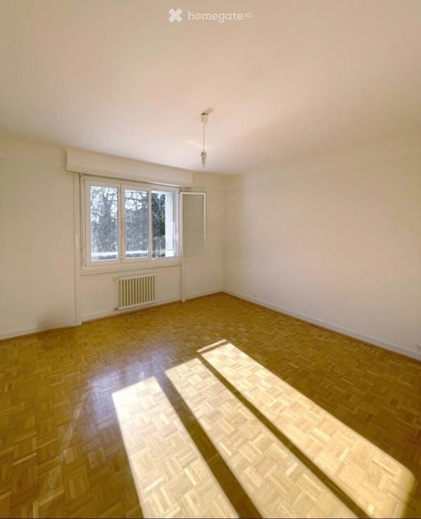 A reprendre bel appartement rénové de 3 pièces 3