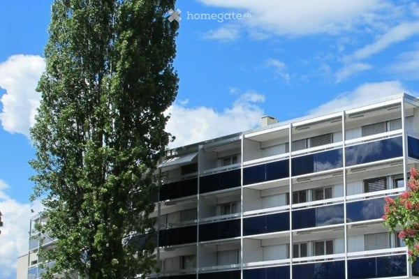 Aperçu de l'image de l'immobilier