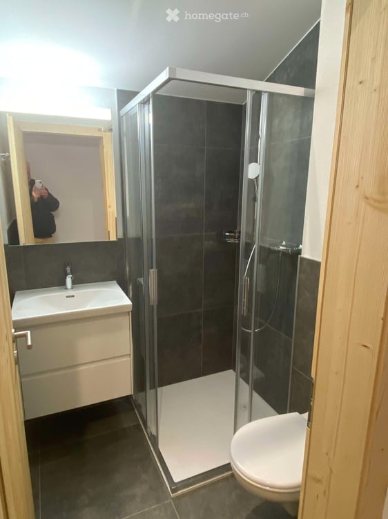 Charmant appartement 3 pièces dans les combles avec balcon 2