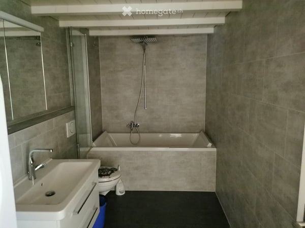Charmantes Loft Apartment in Gächliwil SO zu vermieten 2
