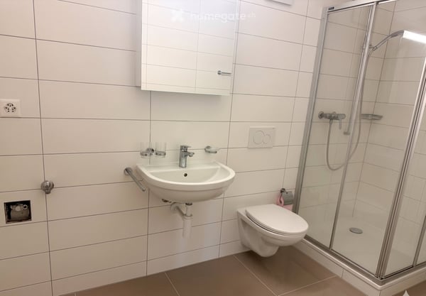 À REPRENDRE: Superbe appartement lumineux, Lutry dès Aout 5