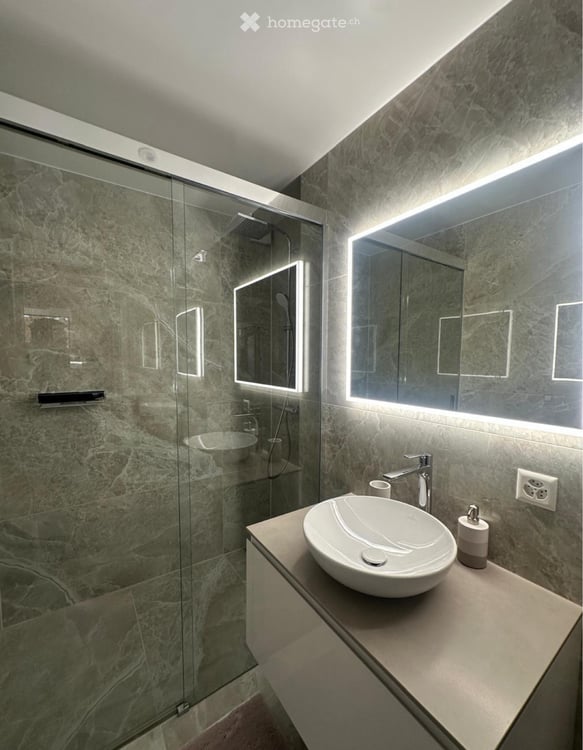 Appartement meublé 3 pièces à Bernex 10
