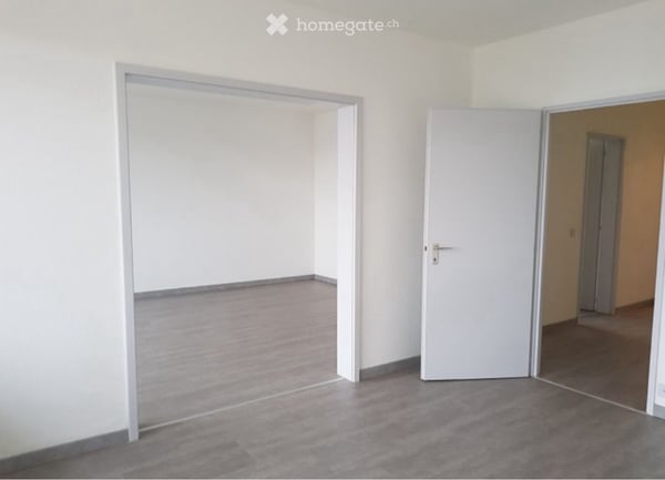 Appartement 6 pièces spacieux au Grand-Saconnex 8