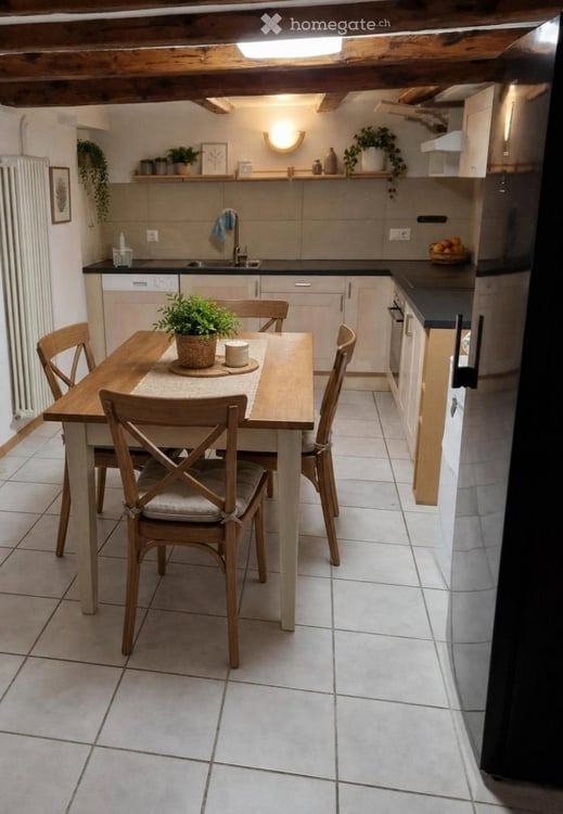 4.5 p appartement terrasse 4