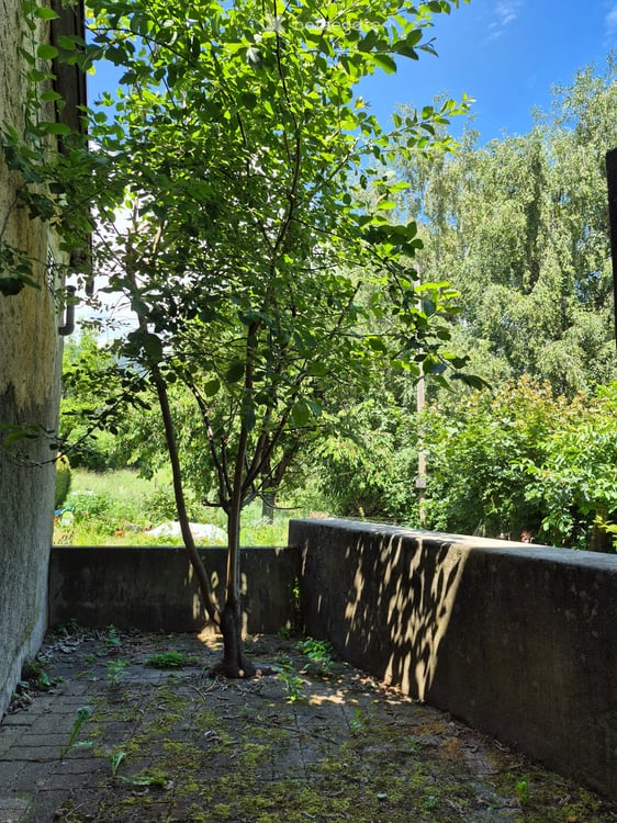 4.5 p appartement terrasse 2