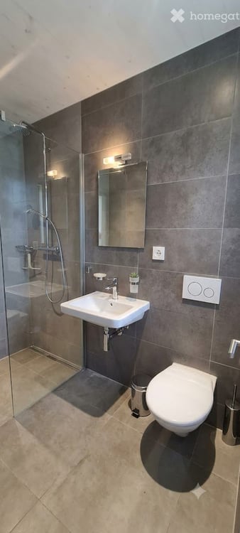 Appartement de 5.5 Pièces en triplex à Valangin 4
