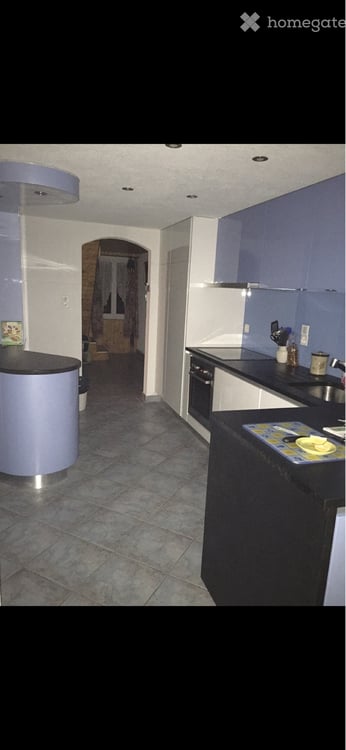 A LOUER - DUPLEX  7,5 pces + dépôt artisanal+ 4 pl. parc 2