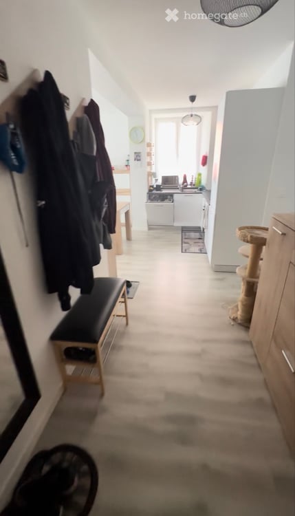 Grande appartement 3