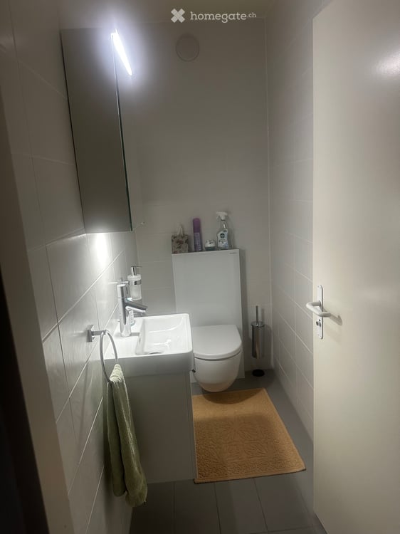 Appartement 3.5 pièces spacieux avec balcon et parkings 4
